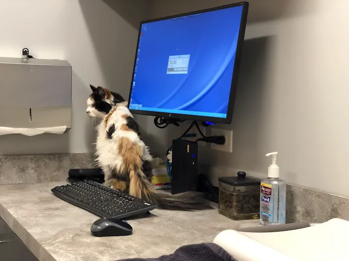 East Side Veterinary Clinic Picture 3