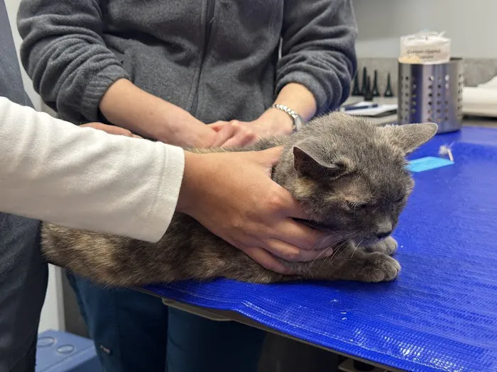 East Side Veterinary Clinic Picture 4