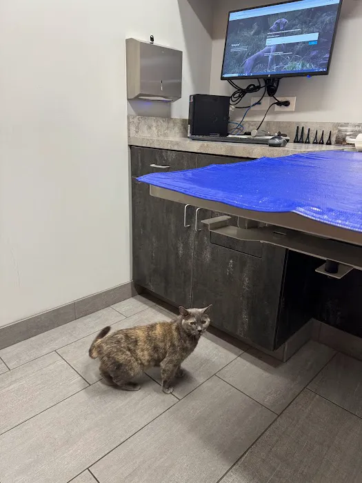 East Side Veterinary Clinic Picture 9