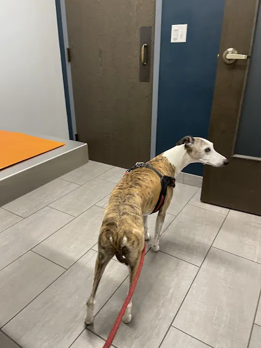East Side Veterinary Clinic Picture 8