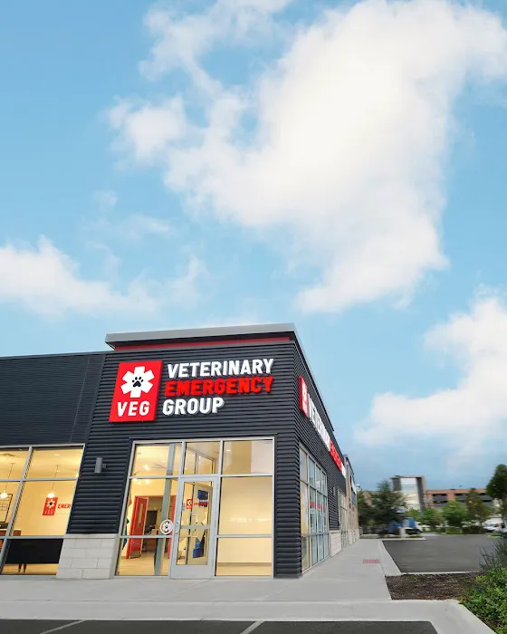 Veterinary Emergency Group Picture 2