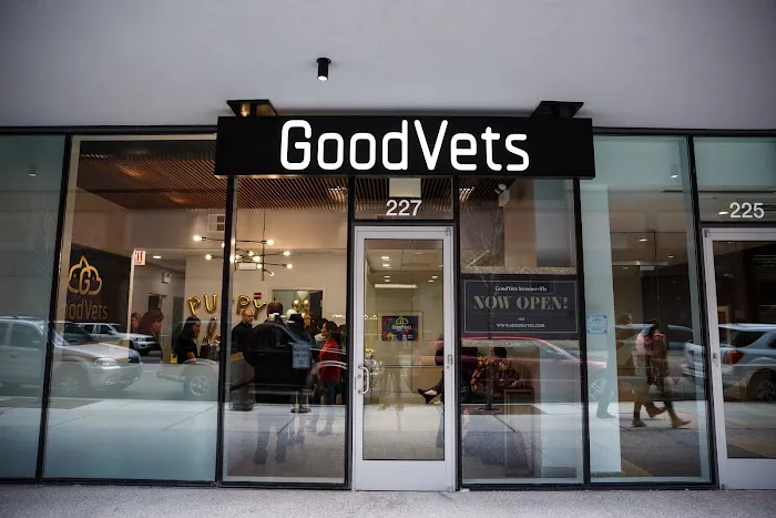 GoodVets Streeterville Picture 2
