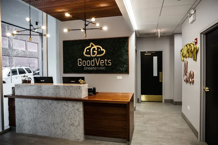 GoodVets Streeterville Picture 3