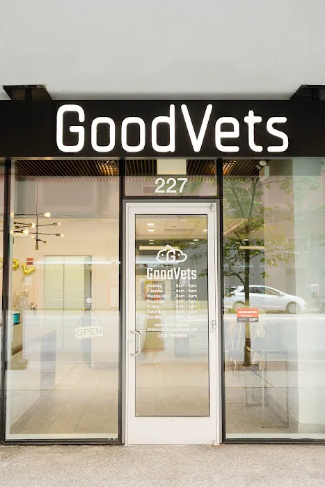 GoodVets Streeterville Picture 1