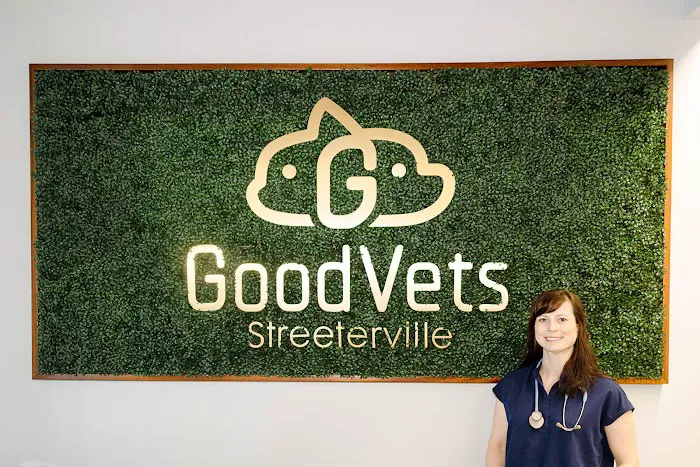 GoodVets Streeterville Picture 6