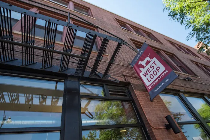 West Loop Veterinary Care Picture 3