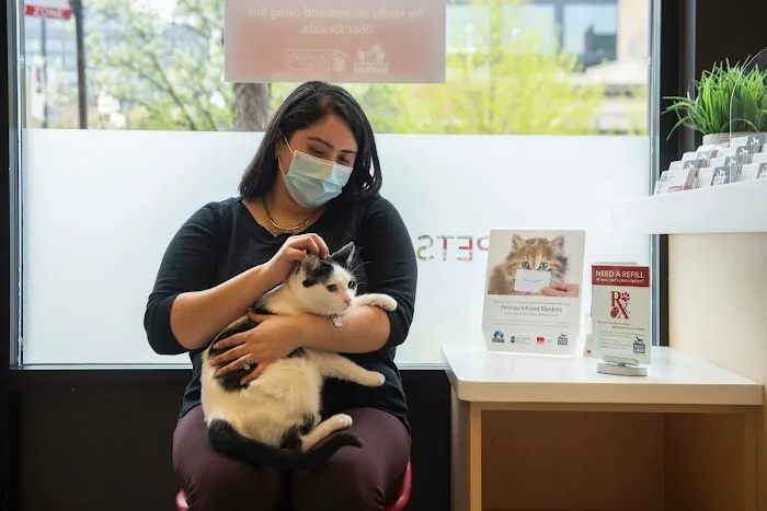 West Loop Veterinary Care Picture 1