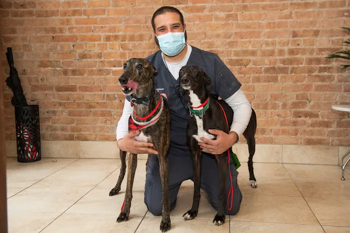 West Loop Veterinary Care Picture 4