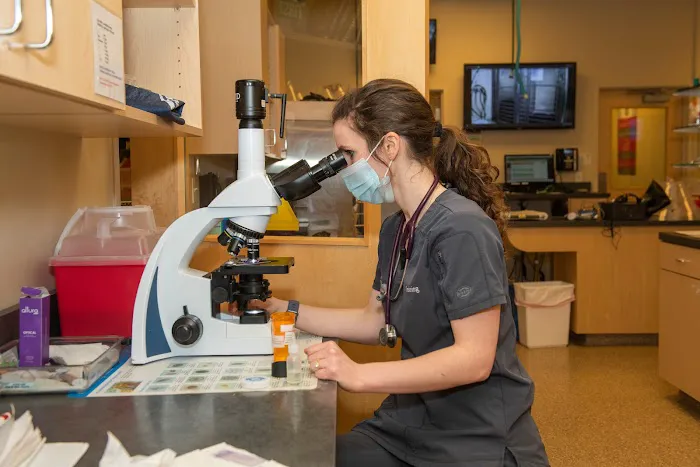 West Loop Veterinary Care Picture 6