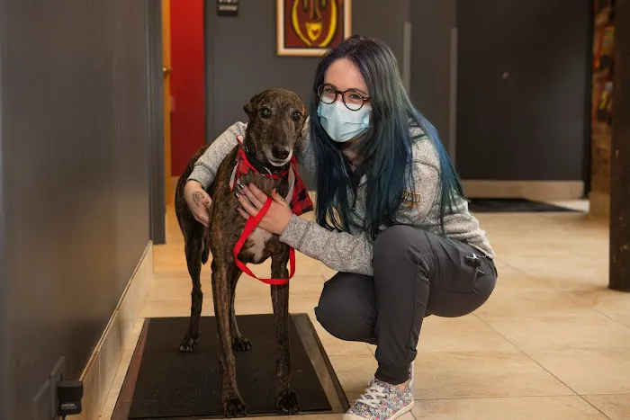 West Loop Veterinary Care Picture 8