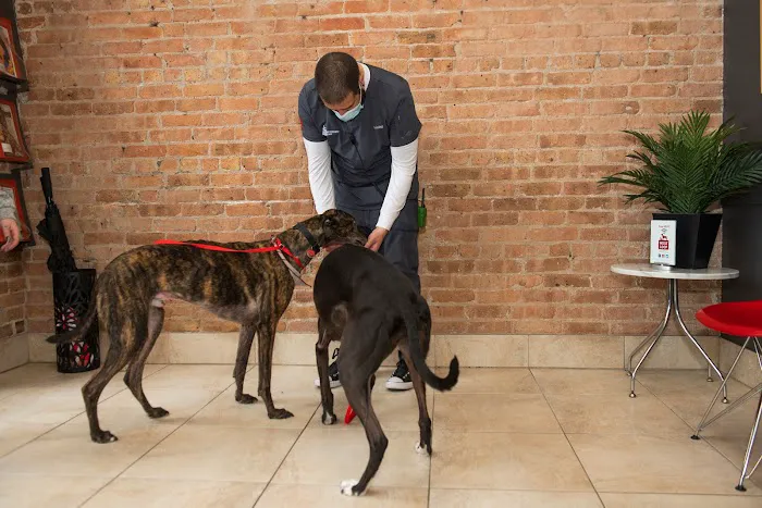 West Loop Veterinary Care Picture 10