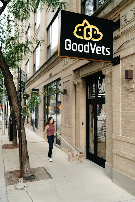 GoodVets West Loop Picture 3