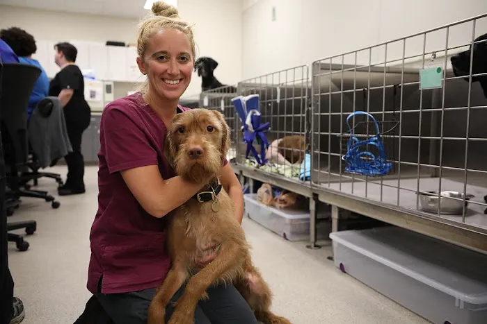 BluePearl Pet Hospital Picture 2