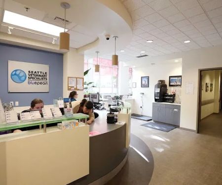 BluePearl Pet Hospital