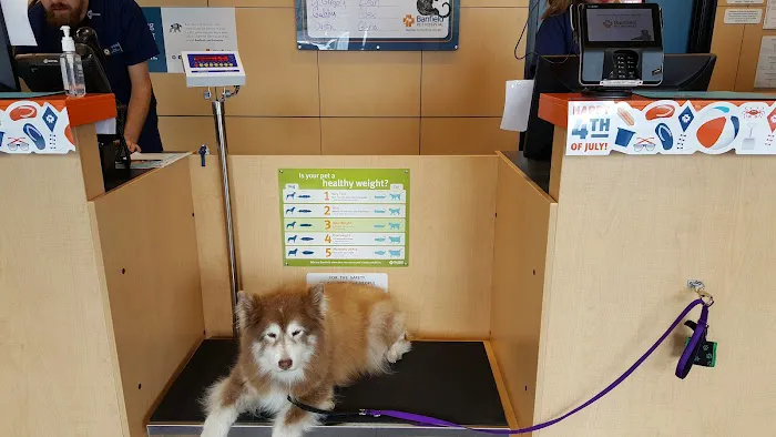 Banfield Pet Hospital Picture 1