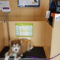 Banfield Pet Hospital ico