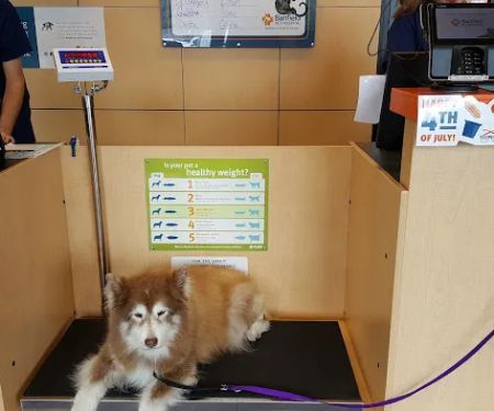 Banfield Pet Hospital