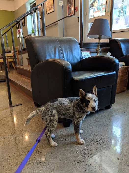 Jet City Animal Clinic Picture 2