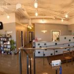 Jet City Animal Clinic