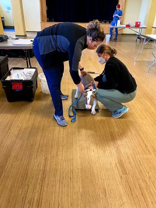 Doney Coe Pet Clinic Picture 9