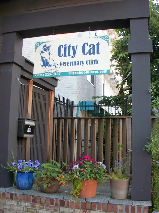 City Cat Vet Clinic Picture 4