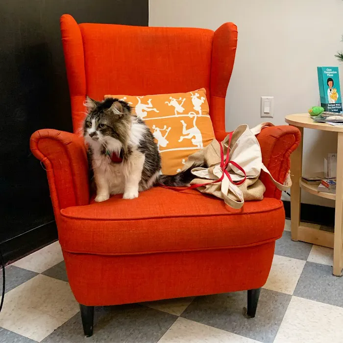 Broadway Veterinary Hospital Picture 6