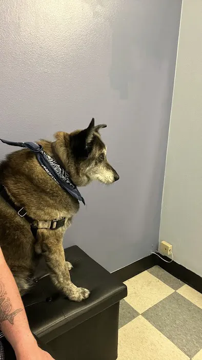 Broadway Veterinary Hospital Picture 5