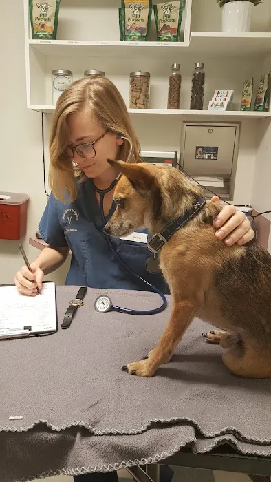 Broadway Veterinary Hospital Picture 10