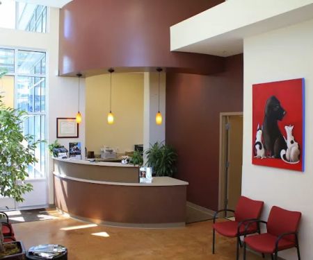 Lake Union Veterinary Clinic