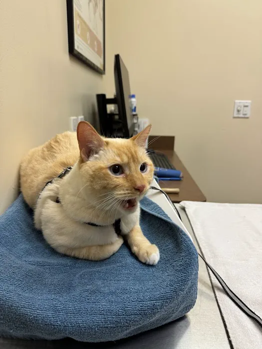 Lake Union Veterinary Clinic Picture 4