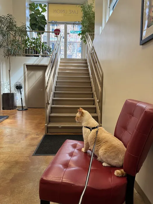 Lake Union Veterinary Clinic Picture 5
