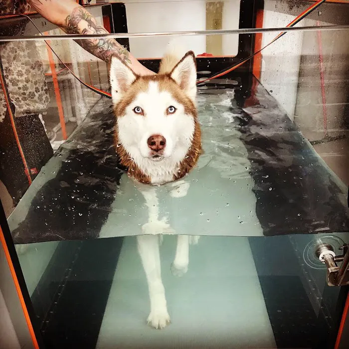 Lake Union Veterinary Clinic Picture 10