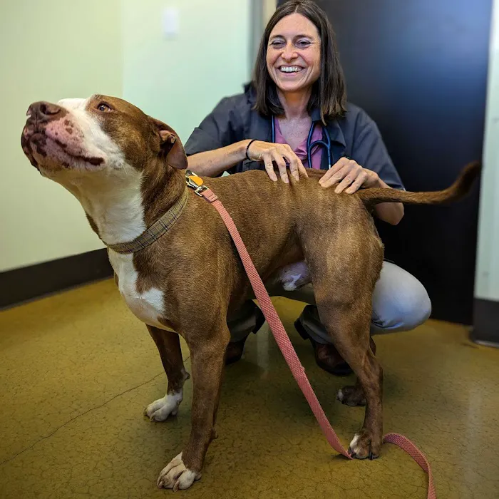 Rainier Veterinary Hospital Picture 1