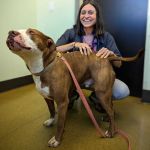 Rainier Veterinary Hospital