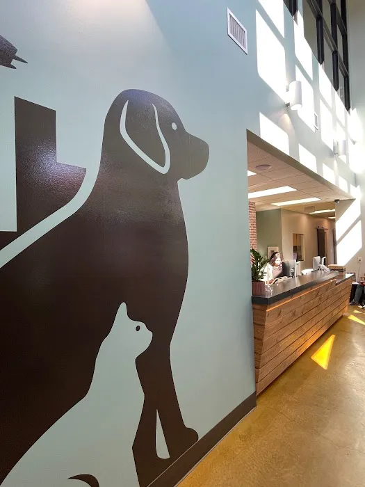 Rainier Veterinary Hospital Picture 4