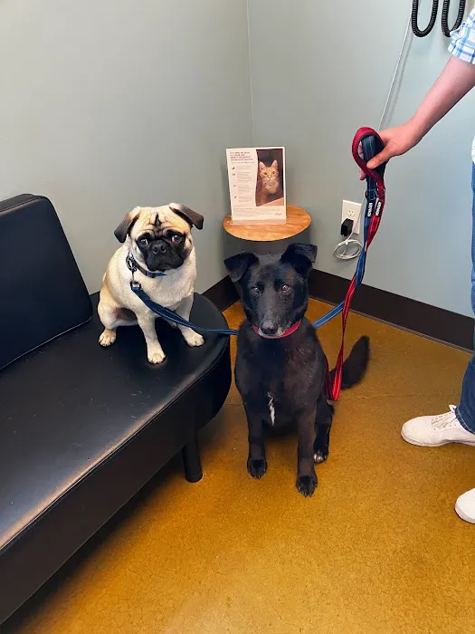 Rainier Veterinary Hospital Picture 8