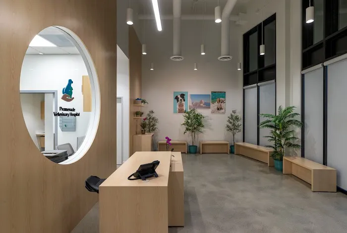 Promenade Veterinary Hospital Picture 1