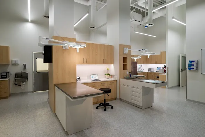 Promenade Veterinary Hospital Picture 2