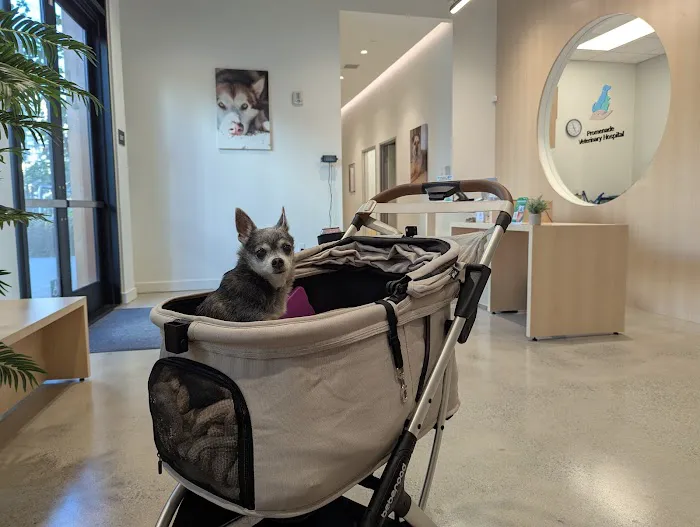 Promenade Veterinary Hospital Picture 4