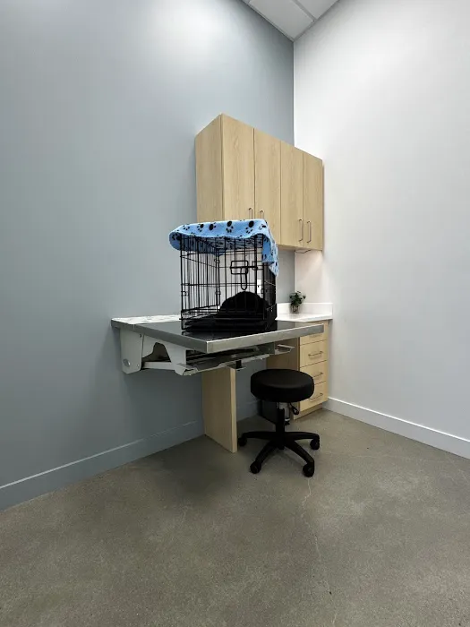 Promenade Veterinary Hospital Picture 8