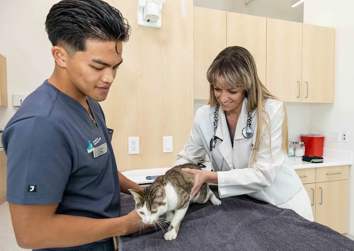 Promenade Veterinary Hospital Picture 7
