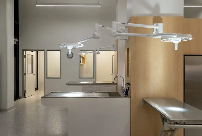 Promenade Veterinary Hospital Picture 10
