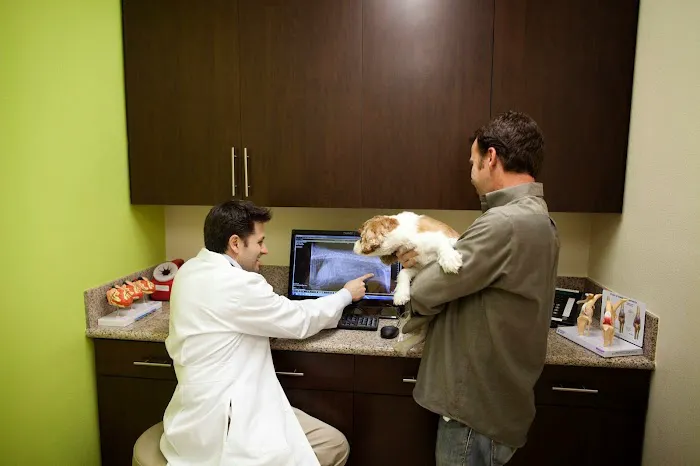 Pine Animal Hospital & Integrative Wellness Center Picture 6
