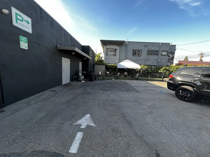 Pine Animal Hospital & Integrative Wellness Center Picture 8