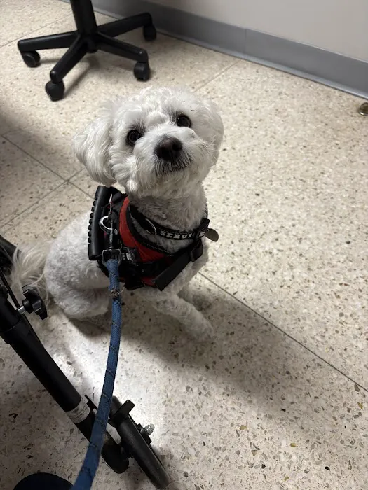 Magnolia Animal Hospital Picture 1