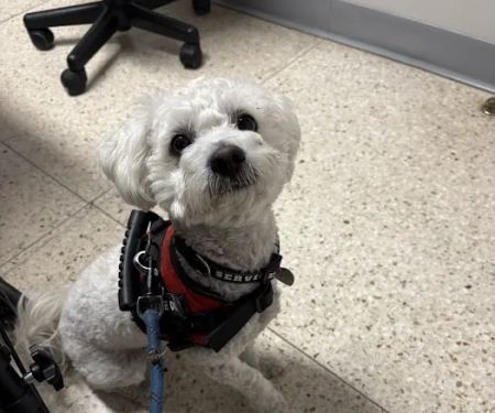 Magnolia Animal Hospital