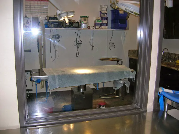 Beach Veterinary Hospital Picture 7