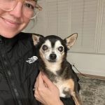 Beach Vet Hospital: Valikov Ena DVM