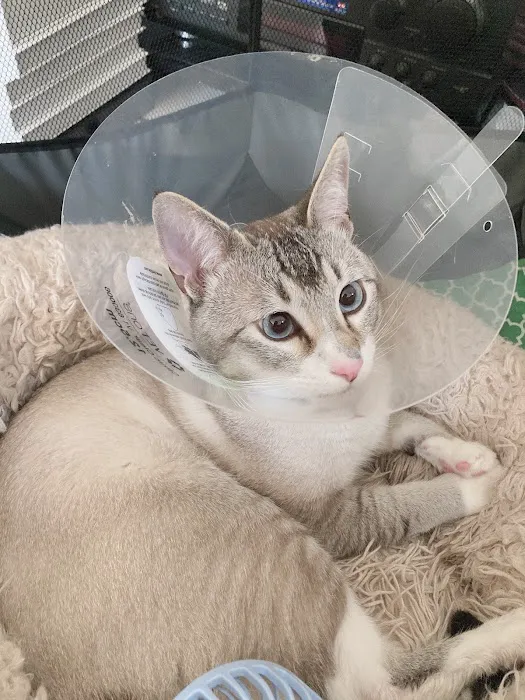 Broadway Pet Hospital Picture 2