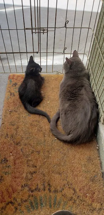 Broadway Pet Hospital Picture 4